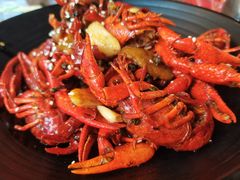 -虾小龙老长沙龙虾馆(坡子街店)
