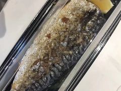 -62°上清优选