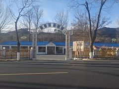 -Sultan pakistan苏单巴基斯坦
