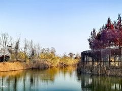 -泗洪洪泽湖湿地景区