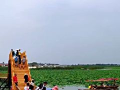 -白洋淀景区