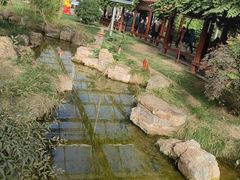 -九天休闲谷