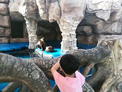 -华夏文旅海洋公园