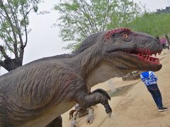 -渭南桃花源民俗文化园