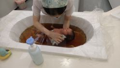 -宝生月子中心(独栋园林·福田店)