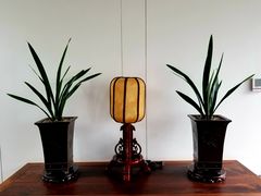 -北京古城老院厉晓麟精致菜