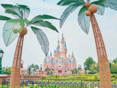 -上海迪士尼度假区