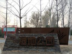 -东郊湿地公园