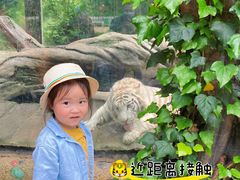 -贵州森林野生动物园