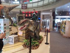 -成都浩海立方海洋公园