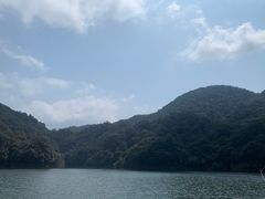 -广州市石门国家森林公园