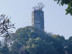 -江心屿景区