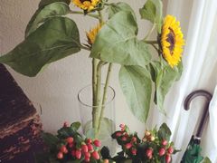 iphone_upload_pic-茶庐(百花洲路店)