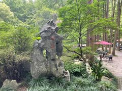 -杭州植物园