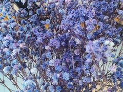 -德克士(城南店)