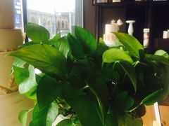 -派悦坊·甜品·蛋糕(日坛店)