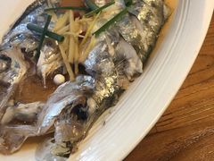 -浙C老邻舍(西城海错店)