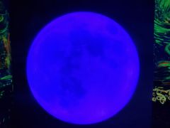 -梵高星空艺术馆(万达旗舰店)