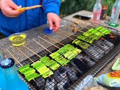 -吴淞炮台湾湿地森林公园烧烤区