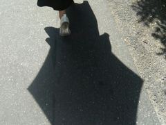 -西湖区图书馆(古墩路)