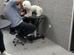 -宠物家(角门东店)