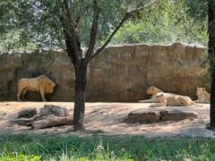 -北京野生动物园