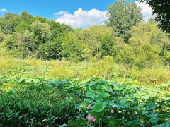 -西湖风景区-江洋畈生态公园