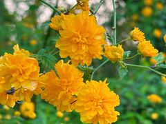 -梁鸿国家湿地公园