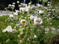 -南京市无想山景区