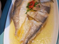 花雕醉黄鱼-寻宝记绍兴菜(鲁迅路店)