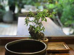 -菩提书坊(侨福大厦店)