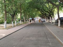 -山东师范大学(千佛山校区)