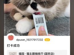 -喵园·猫主题咖啡厅·撸猫·猫咖(国贸店)