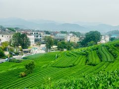 -听风阁农家私房菜茶楼(龙坞店)