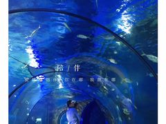 -梦幻海洋王国(吾悦广场张家港店)