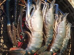 -Kingkong Buffet(The Mercury ville)