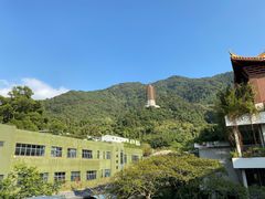 -深圳仙湖植物园-停车场
