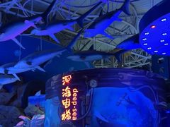 -烟台海昌鲸鲨海洋公园