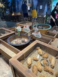 -酷嗒动物文化乐园(cutezoo西溪乐天城店)