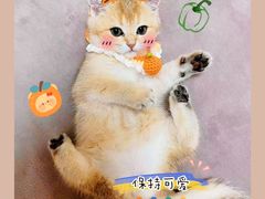 -美迦爱-牙专科·兔科·骨科诊疗中心(北苑店)