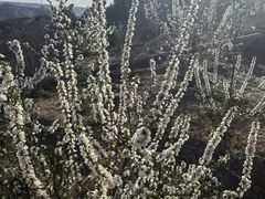 -白水寺森林公园