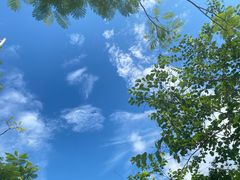 -火炉山森林公园