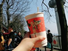 -茶颜悦色(岳麓山顶店)