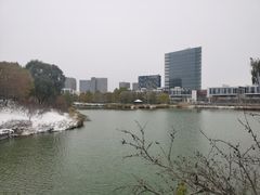 -大兴滨河森林公园