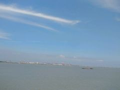 -大湾区中央湿地公园