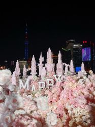 -迈瑞米求婚策划(静安店)