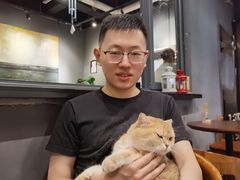 -咖法森林·咖啡  酒吧(天河店)