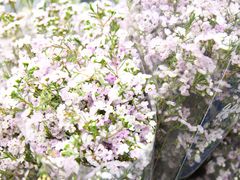 -循礼门鲜花花市(武汉循礼门店)