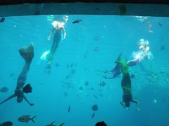 -瑞德姆美人鱼海底演艺主题餐厅(亚龙湾店)