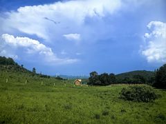 -御道口草原森林风景区